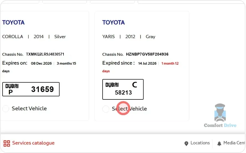 Vehicle list showing two cars with chassis numbers, expiry status and plates